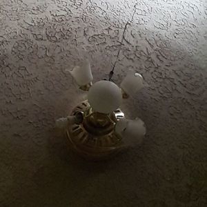 Meet your Posher, George